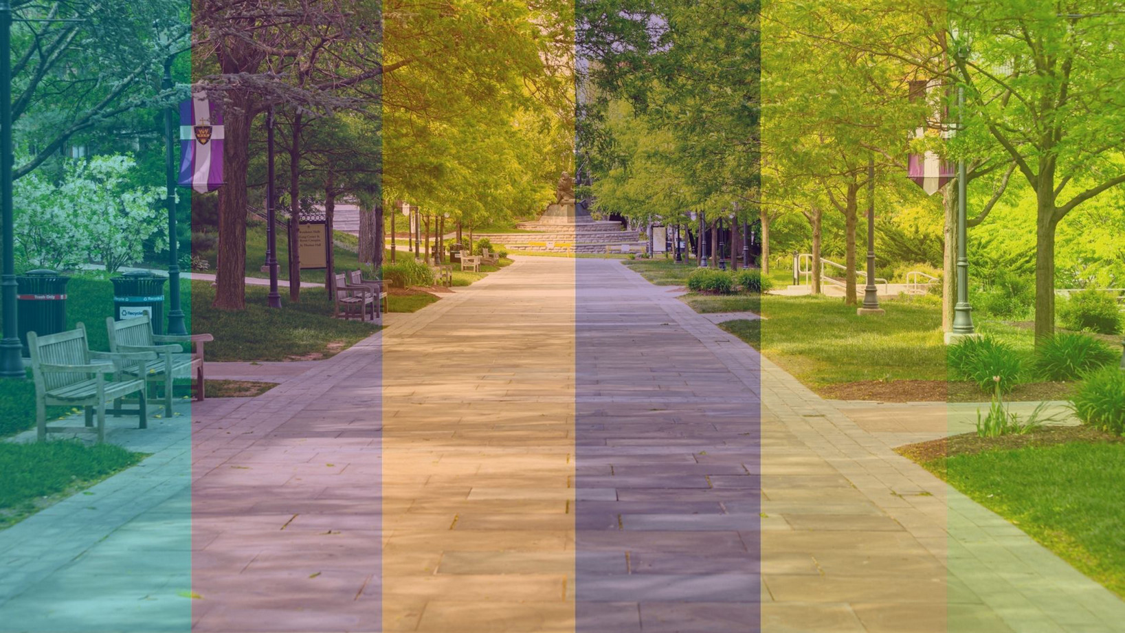 Six Members of the Class of 2026 Share Their Scranton Stories banner image