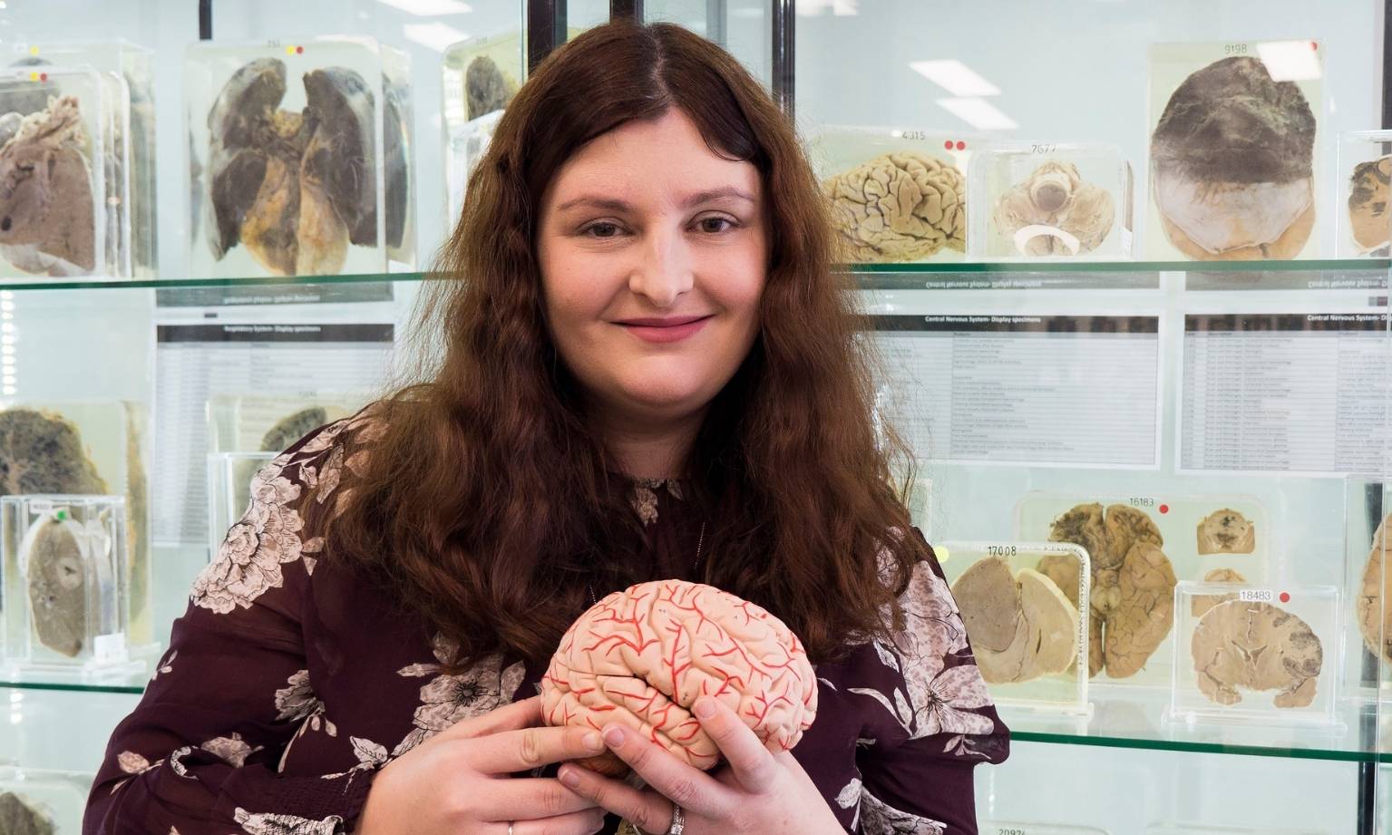 Playing the Long Game  Against Cognitive Decline banner image